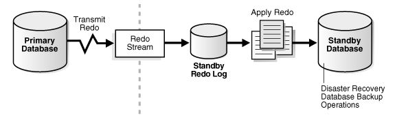 DataGuard